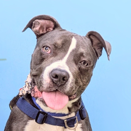NALA