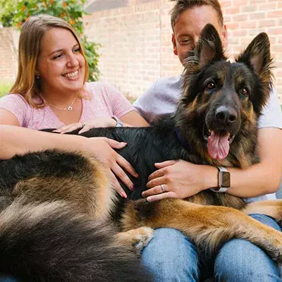 Search dog advice
