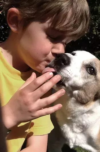 Pet Memorials