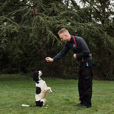 Search dog advice