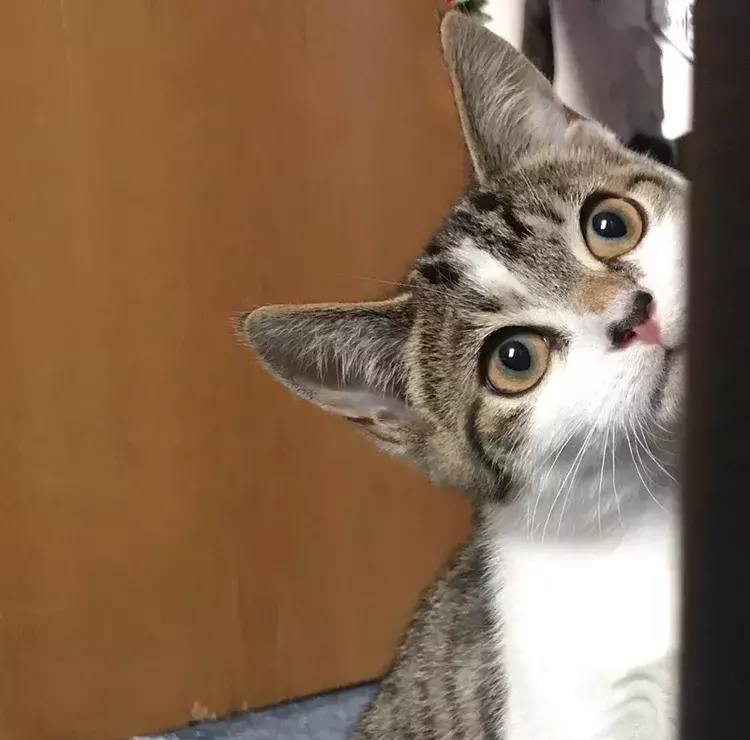 Hector's Story