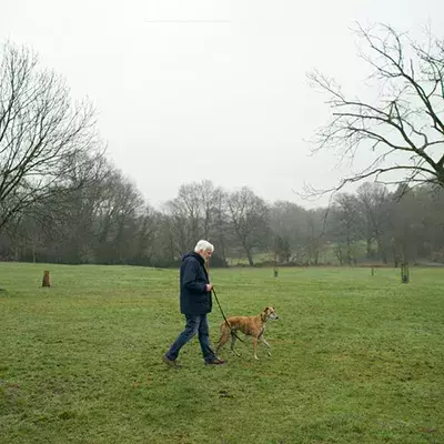 Search dog advice